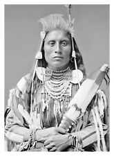 CHIEF MEDICINE CROW NATIVE AMERICAN CROW NATION 5X7 PHOTO picture