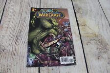 2010 Wildstorm Blizzard World of Warcraft Special #1 Comic *Low to Mid Grade* picture