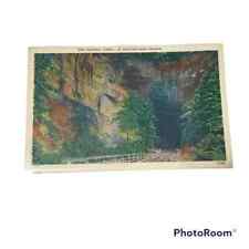 Postcard Natural Tunnel in Southwestern Virginia Vintage A24 picture