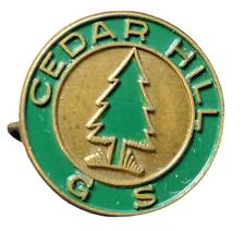 1930's Cedar Hill Girl a Scout Camp pin picture