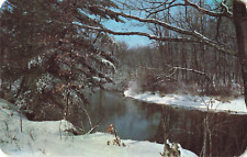 Roscommon MI Michigan, Snowy Winter Wilderness River Scene, Vintage Postcard picture
