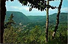 Postcard CROOKED CREEK FROM THE LOOKOUT FUNDY NATIONAL PARK NEW BRUNSWICK CANADA picture
