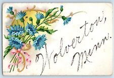 Wolverton Minnesota MN Postcard Vines Ribbon Flowers And Leaves c1910's Antique picture