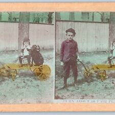 c1890s Handsome Little Boys Play Toy Wagon & Pup Dog Stereo Real Photo Cute V24 picture