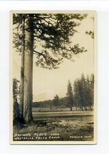 San Dimas Canyon CA RPPC photo postcard, Browns Flats, Wolfskill Falls Camp picture