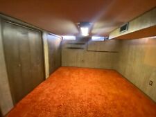 vintage shag carpet, Shag carpet, orange , looks like  Cheetos on floor picture