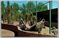 Phoenix Zoo Arizona Animals Exhibit Historical Zoological Columbia VTG Postcard picture