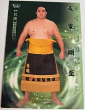 Sumo Trading Card Hibiki 2024 Bbm Ryuden Goji picture
