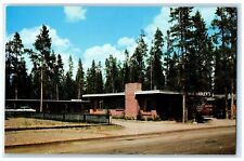 c1960s Hadley's Motel Roadside West Yellowstone Montana MT Unposted Postcard picture