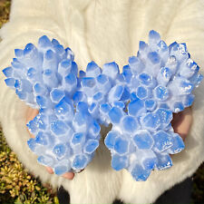 5.37LB Natural blue Crystal Cluster Flower Shape Mineral Specimen healing picture