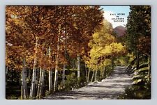 CO-Colorado, Fall Scene in Colorado Rockies, Antique Vintage Souvenir Postcard picture