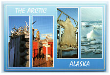 Postcard The Arctic Alaska AK - Nome Kotzebue and Barrow ACE712 picture