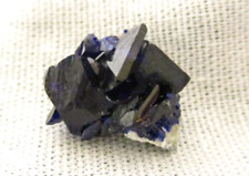 Azurite Cluster  Specimen With A Perky Box From Milpillas Mine, Sonora, Mexico picture