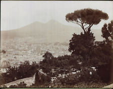 Giorgio Sommer, Italy, Naples, Panorama da San Martino, vintage albumine print  picture