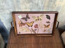 VINTAGE DRIED PRESSED FLOWER & BUTTERFLY SERVING/VANITY/WOODEN TRAY W/HANDLES picture