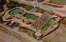 Postcard: Aerial View of Marine Studios Marineland Florida picture