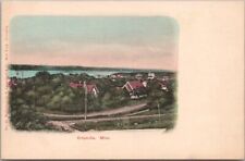 Vintage 1900s ORTONVILLE, Minnesota Postcard Bird's-Eye Town View / UNUSED picture