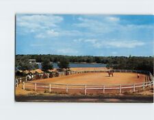 Postcard The Riding Ring Camp Tegawitha Tobyhanna Pennsylvania picture