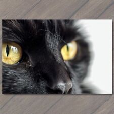 POSTCARD Black Cat Yellow Eyes Pet Unusual Cute Closeup Fun White Stare Feline picture