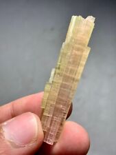 40 Cts Terminated Bi Colour Tourmaline Crystals bunch @Afghanistan picture
