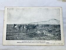 Postcard A Bunch Of Elk Salisbury-Earl-Devine Ranch Henry’s Lake Idaho #591 picture
