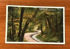 Ithaca NY, Cornell University, Goldwin Smith Walk, Postcard, 1935, 1c Stamp  picture