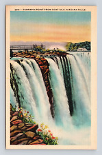 Old Postcard American Niagara Falls Goat Isle Terrain Point 1940s picture
