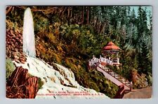 Shasta Springs CA-California, Oxone Falls And Spring, Scenic, Vintage Postcard picture