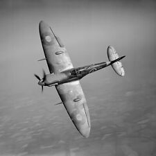 WW2 WWII Photo British  Spitfire in Flight Royal Air Force World War Two / 5484 picture