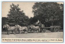 Ideal Team Six Percheron Horses SS Pierce Co. Boston Massachusetts MA Postcard picture