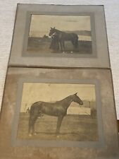 Antique Vintage 1920s 2 Large Matted Girl With Horse Equestrian Photo photograph picture