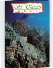 Postcard Exploring the captivating inner world, St. Thomas, U.S. Virgin Islands picture