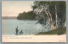 View near Station Twin Lakes Connecticut Hand Colored Vintage Postcard Unposted picture