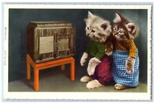 c1910's Anthropomorphic Cat Radio At The Table Unposted Antique Postcard picture