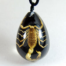 NEW REAL GOLDEN SCORPION BLACK NECKLACE PENDANT INSECT picture