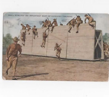 WWI Wall Scaling-An Important part of infantry training  1918 picture