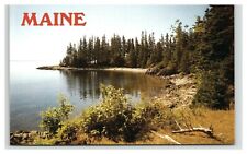 Postcard ME Quiet Cove Driftwood Spruce Trees Shoreline Scenic Water View Maine picture