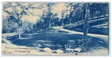 1903 Driveway On Government Reservation Road Hot Springs Arkansas AR Postcard picture