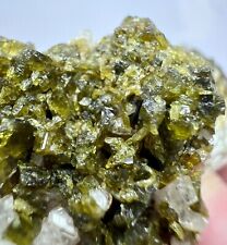 420 Cts Well Terminated Tashmarine Diopside Crystals Bunch On Matrix From @AFG picture