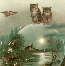 1880's-90's Victorian Trade Card Moon Night Owls Lake Fab P199 picture