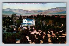 CA-California, California Winter Residence Among Orange Grove Vintage Postcard picture