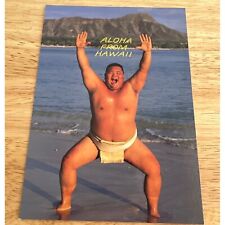Vintage Hawaiian Postcard 