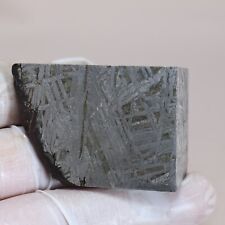 197g Muonionalusta meteorite,Natural meteorite slices,Collectibles,gift L86 picture