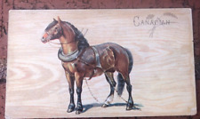 Tobacco 1892 W. DUKE SONS & CO. BREEDS OF HORSES CANADIAN picture