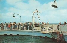 Fort Walton Beach Florida, Gulfarium Dolphin Jumping for Food, Vintage Postcard picture