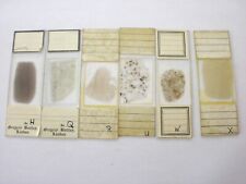 6 Antique/Vintage  Microscope  Slides. Petrology  by Gregory and Bottley. picture