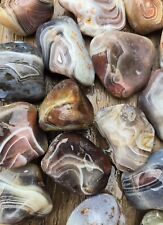 Botswana agate rough FAVORITES 1.5 pounds lbs beautiful banding bands lapidary picture