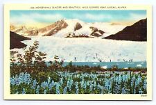 Postcard Mendenhall Glacier & Wild Flowers Near Juneau Alaska AK picture