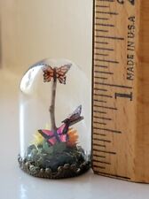 dollhouse Miniature 1:12 butterfly jar OOAK taxidermy glass Cloche artist Signed picture
