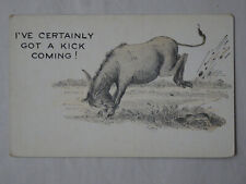 c1910s Kitten Comic Postcard Mule I've Certainly Got A Kick Coming  picture